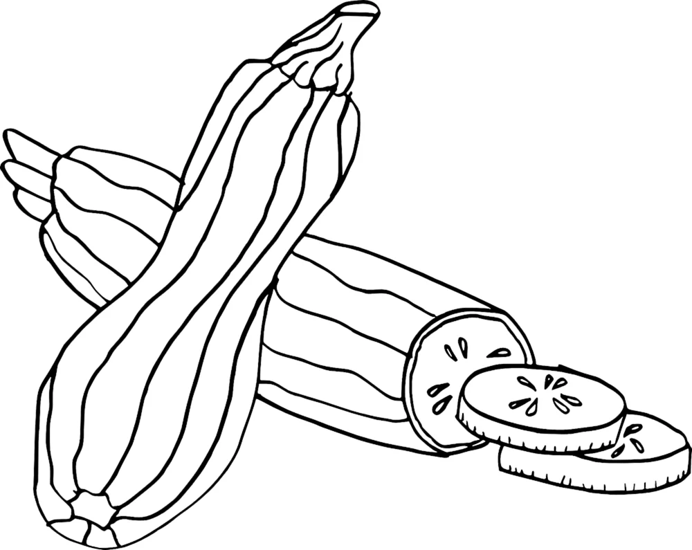 Zucchini färben