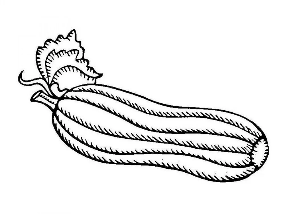 Aubergine Bleistiftzeichnung