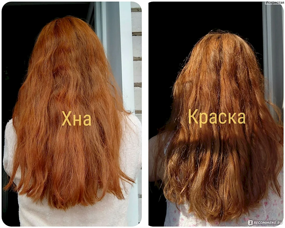 Wie man von chemischem Haarfärbemittel auf Henna umsteigt