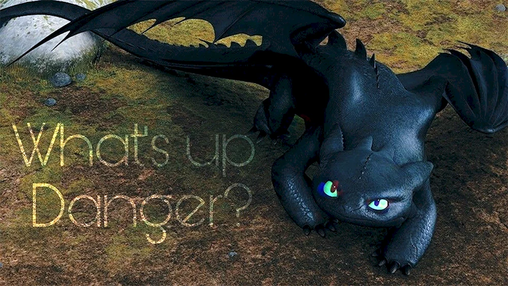 Drachen zähmen 1 Zahnlos