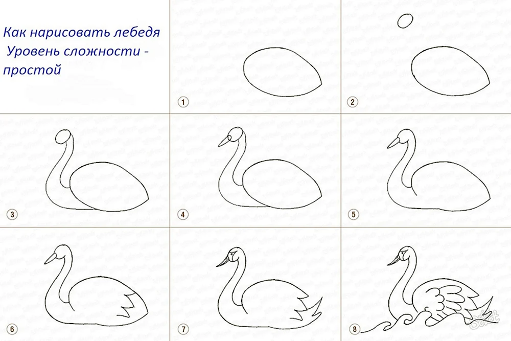 Schwan zeichnen