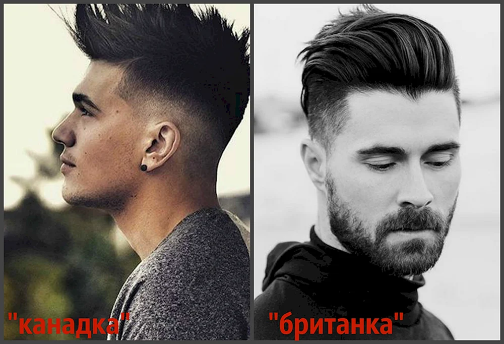 Britischer Undercut