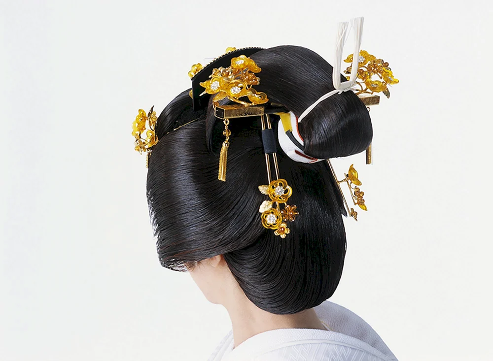 Fan Binbin Geisha
