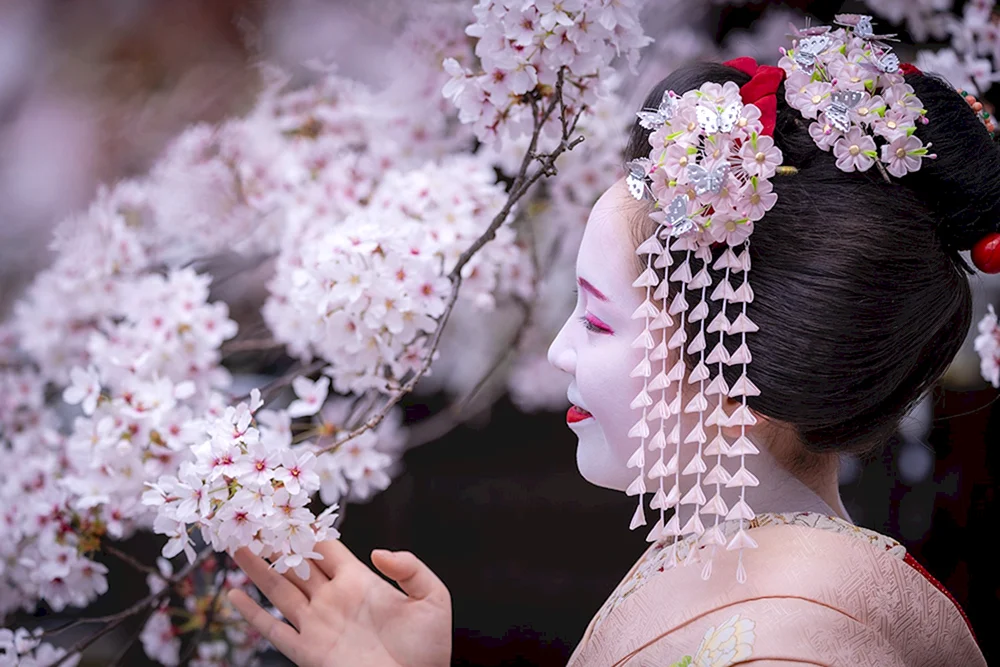 Kanzashi Sakura