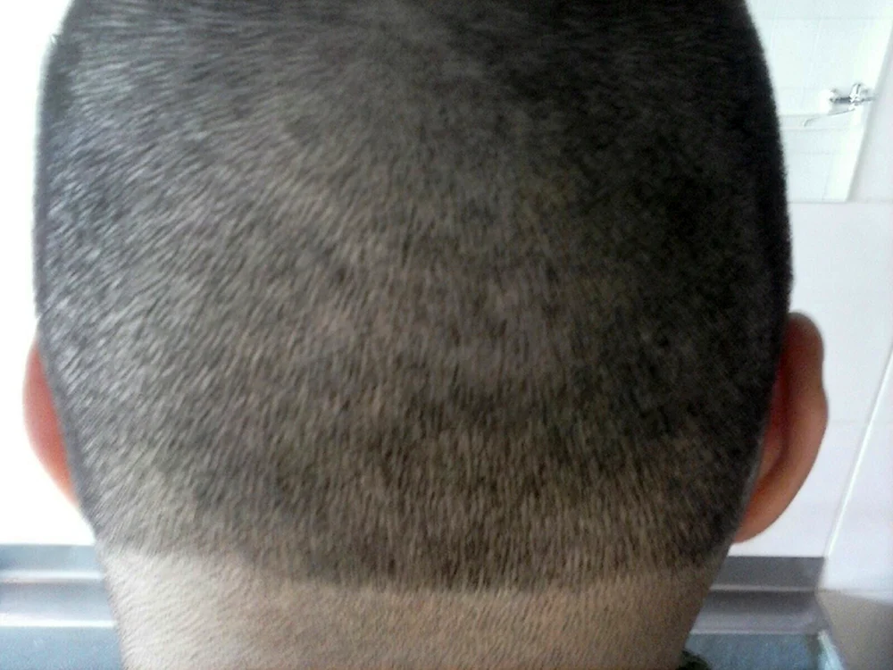 Südlicher Haarschnitt