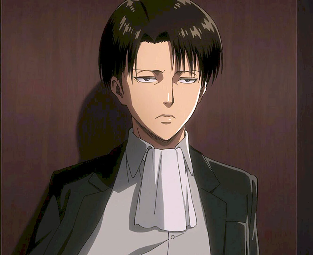 Angriff der Titanen Levi Ackerman