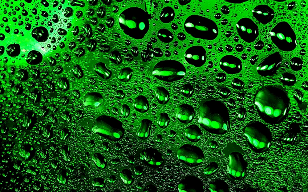 Grüner Hintergrund