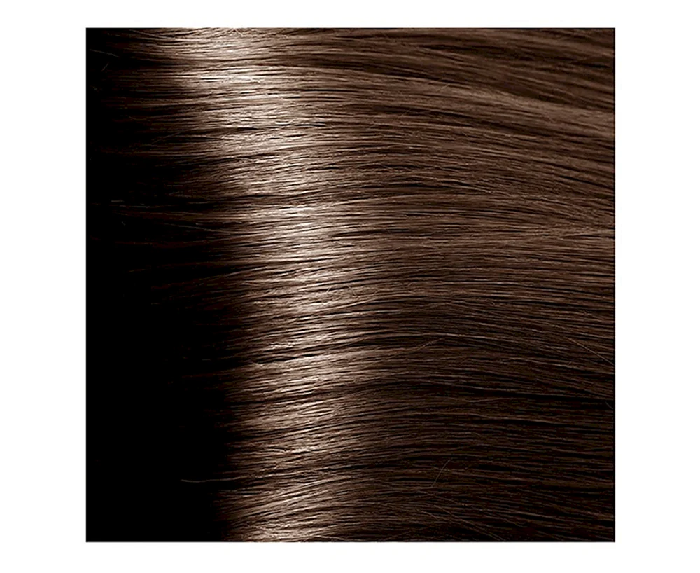 Chestnut Haarfarbe