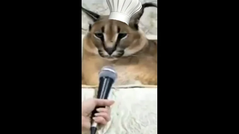 Karakal floppa
