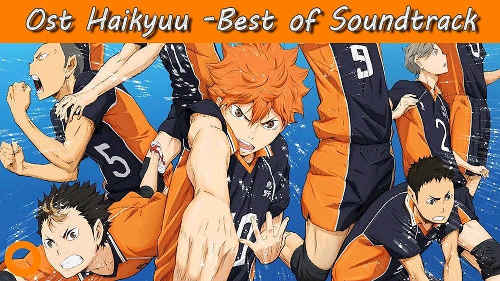 Karasuno Volleyball Hinata