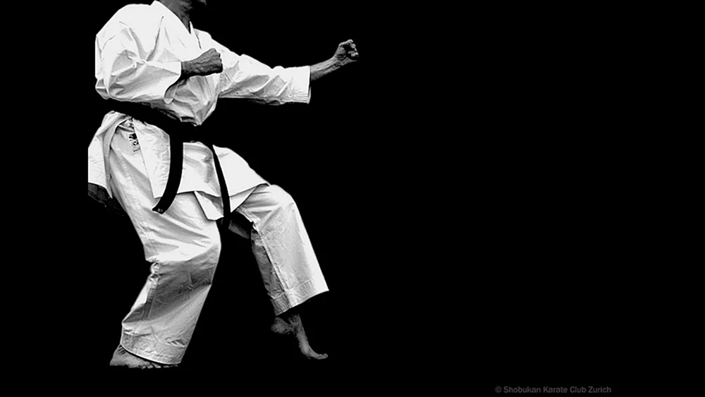 Kyokushinkai Karate Ästhetik