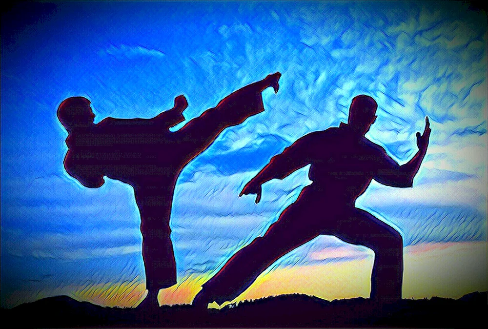 Kyokushinkai Karate Ästhetik