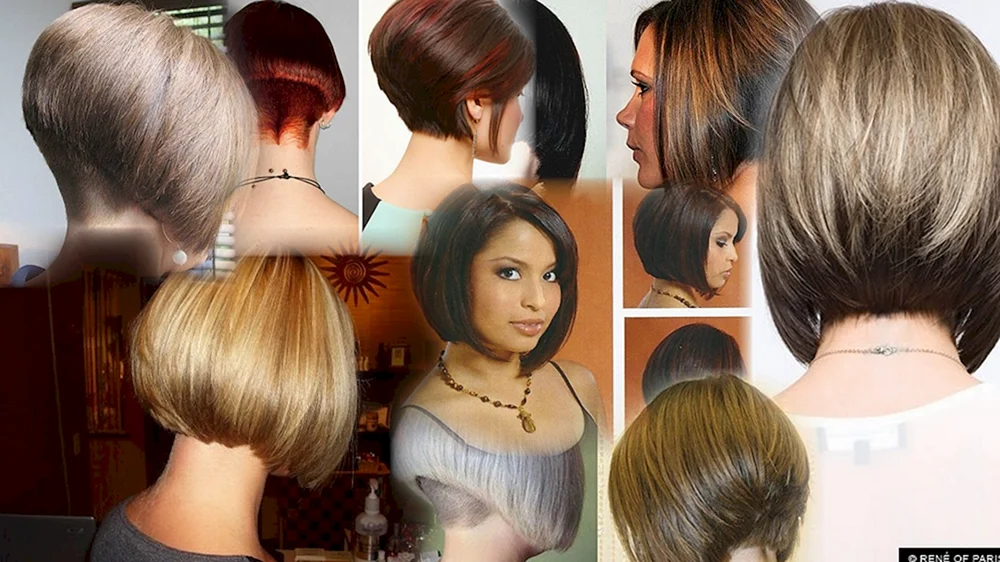 Pixie Bob Herrenhaarschnitt