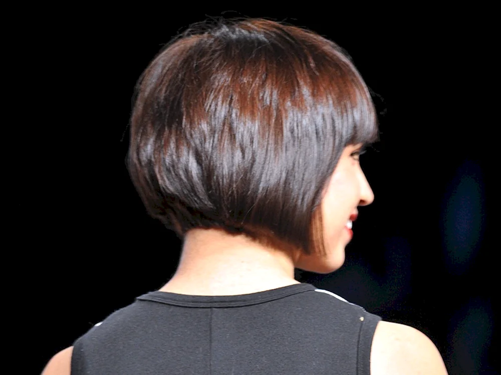 Kare Pixie Bob