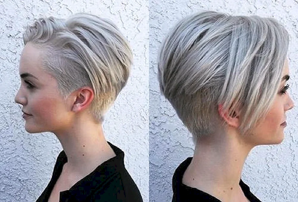 Pixie bob kare