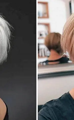 Pixie bob