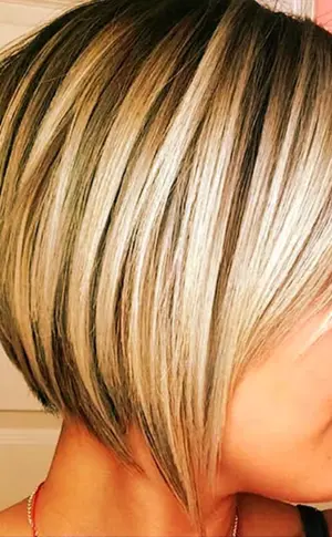 Nackter Pixie Bob