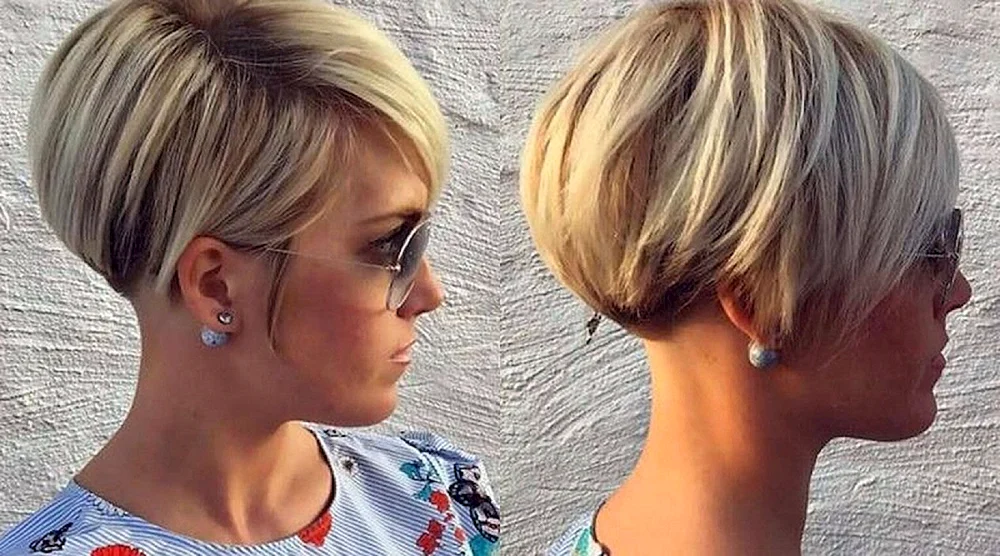 Pixie Bob