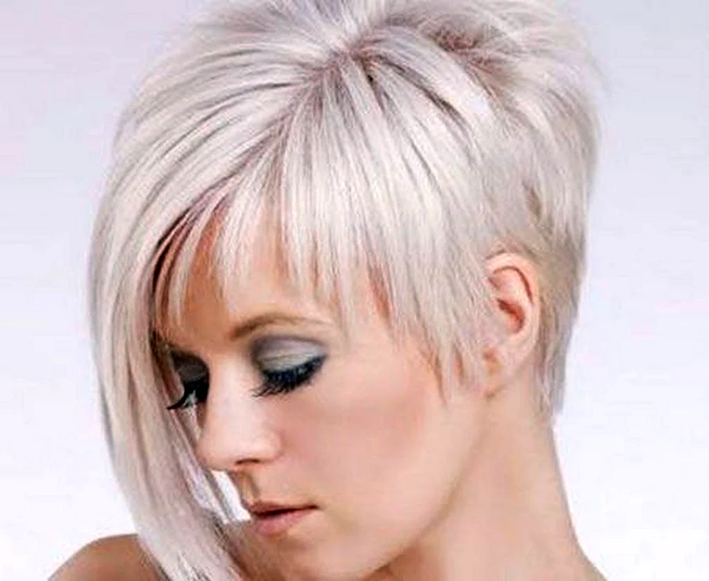 Pixie Bob