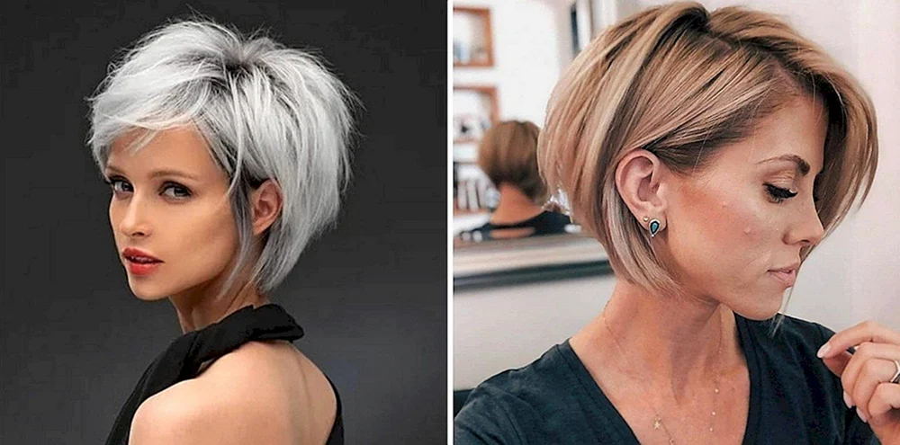 Pflege Pixie Bob