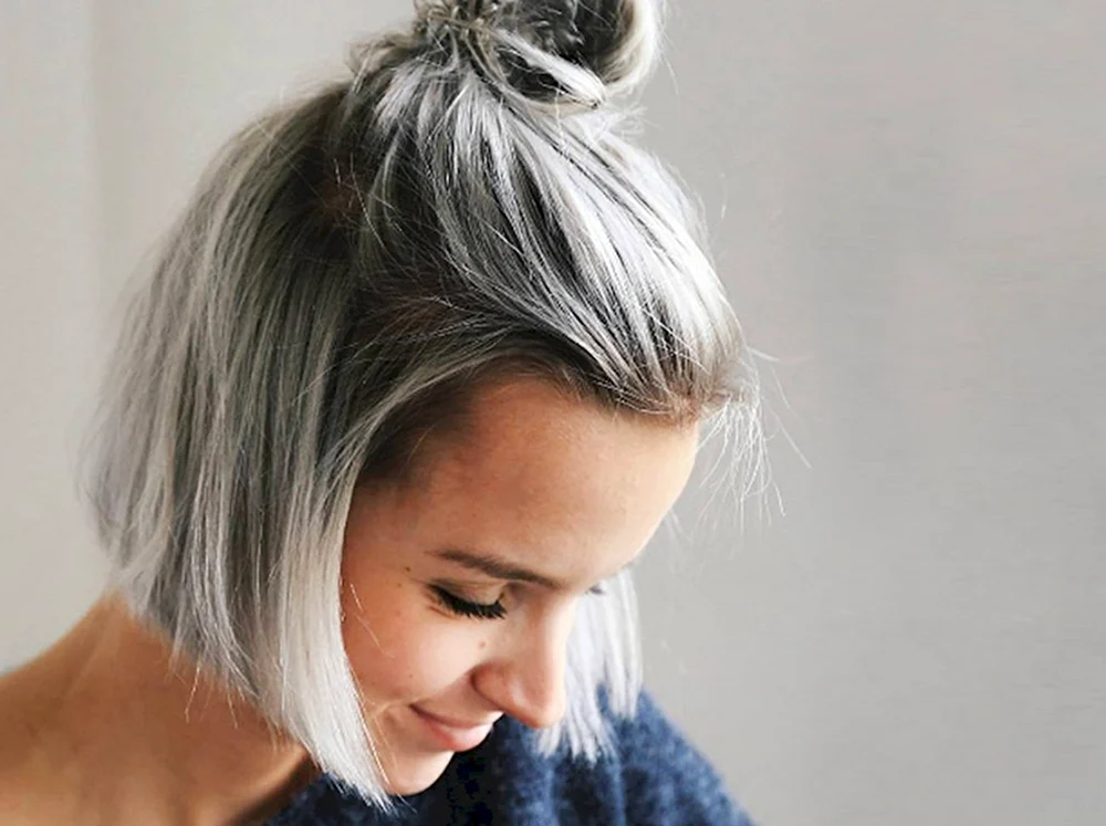 Pixie Bob Asche