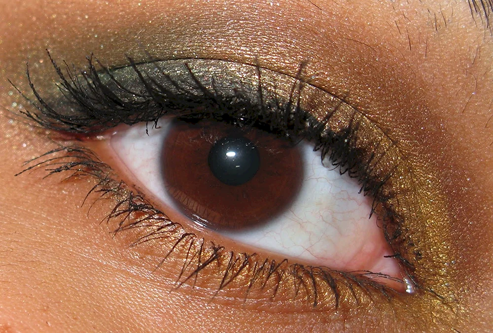 Mittlere Heterochromie Augenfarbe