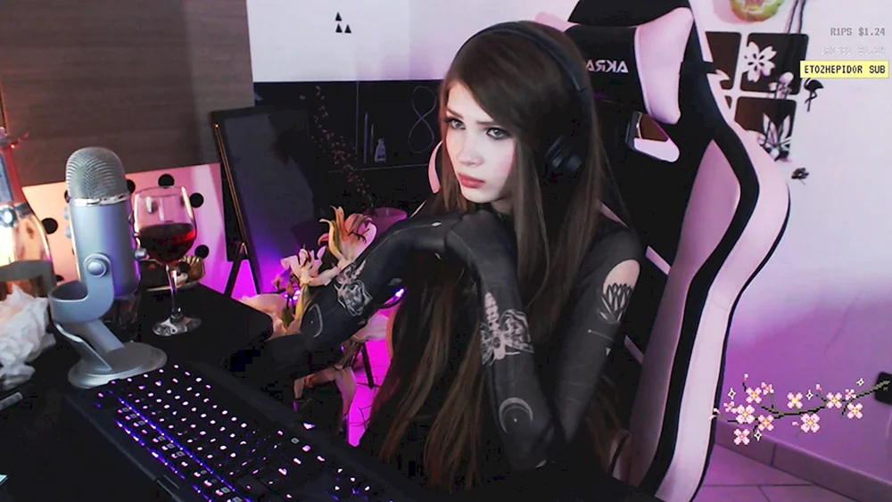 Karina Streamersha