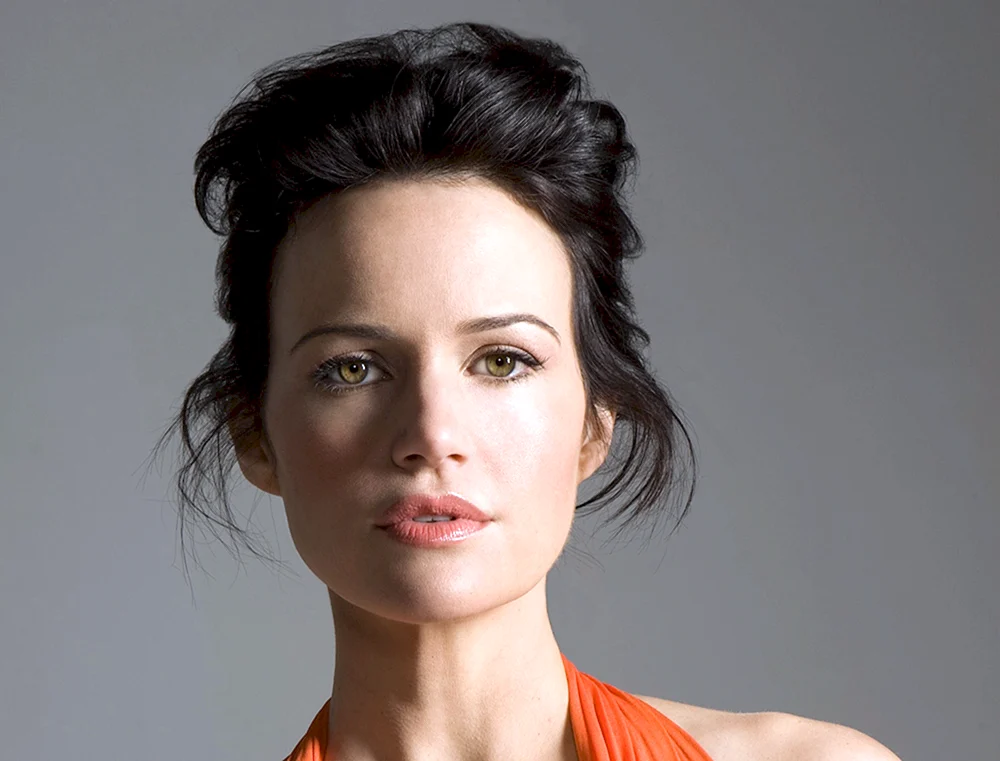 Carla Gugino Foto