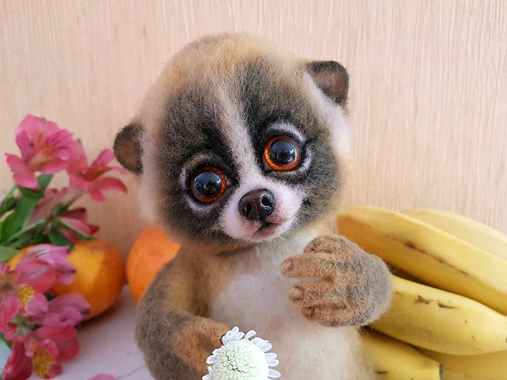 Lemur Lory fett