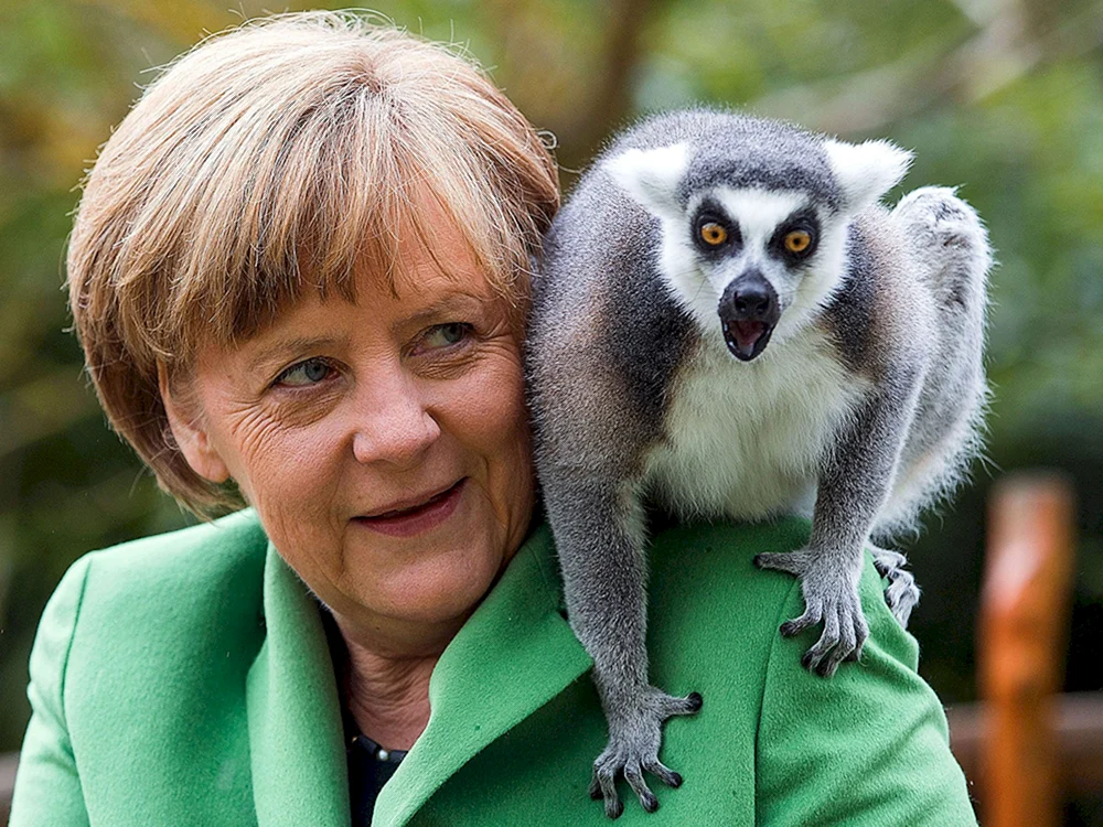 Carly-Lemur Lori