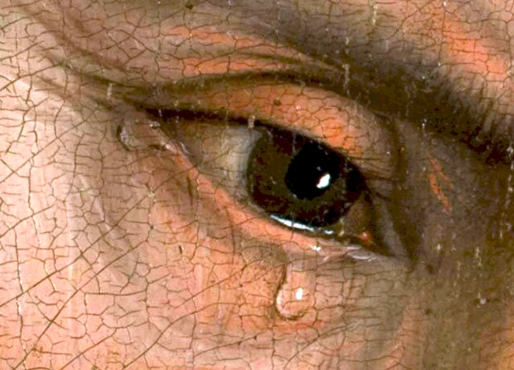 Antonello da Messina Maria Annunziata