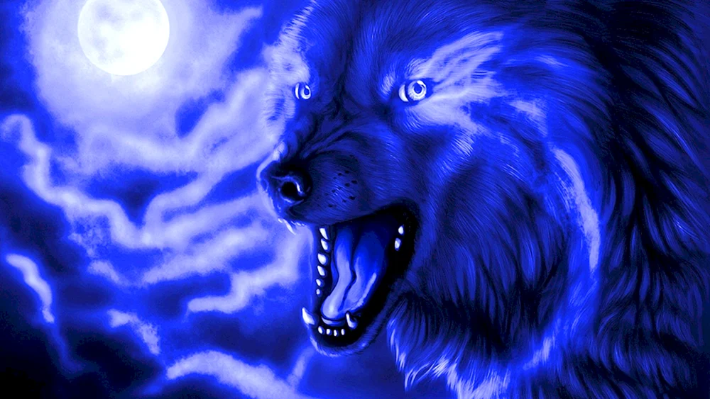 Wolf