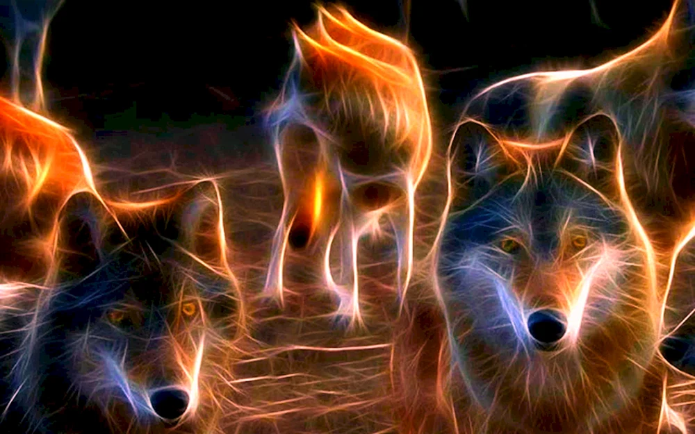 Dunkler Wolf