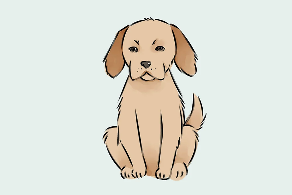 Hundestiftzeichnung