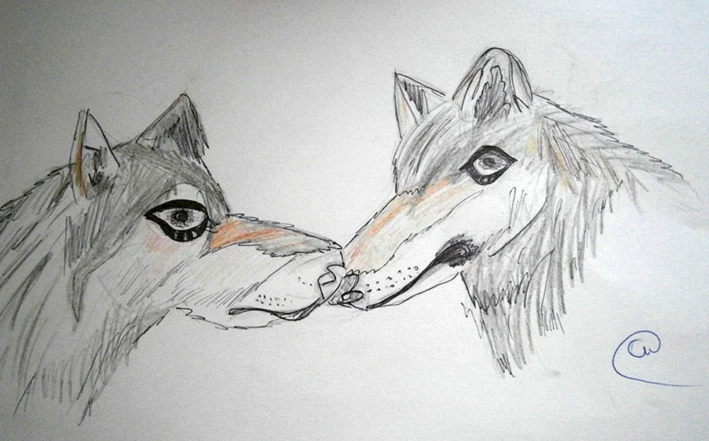 Wolf Bilder zum Zeichnen