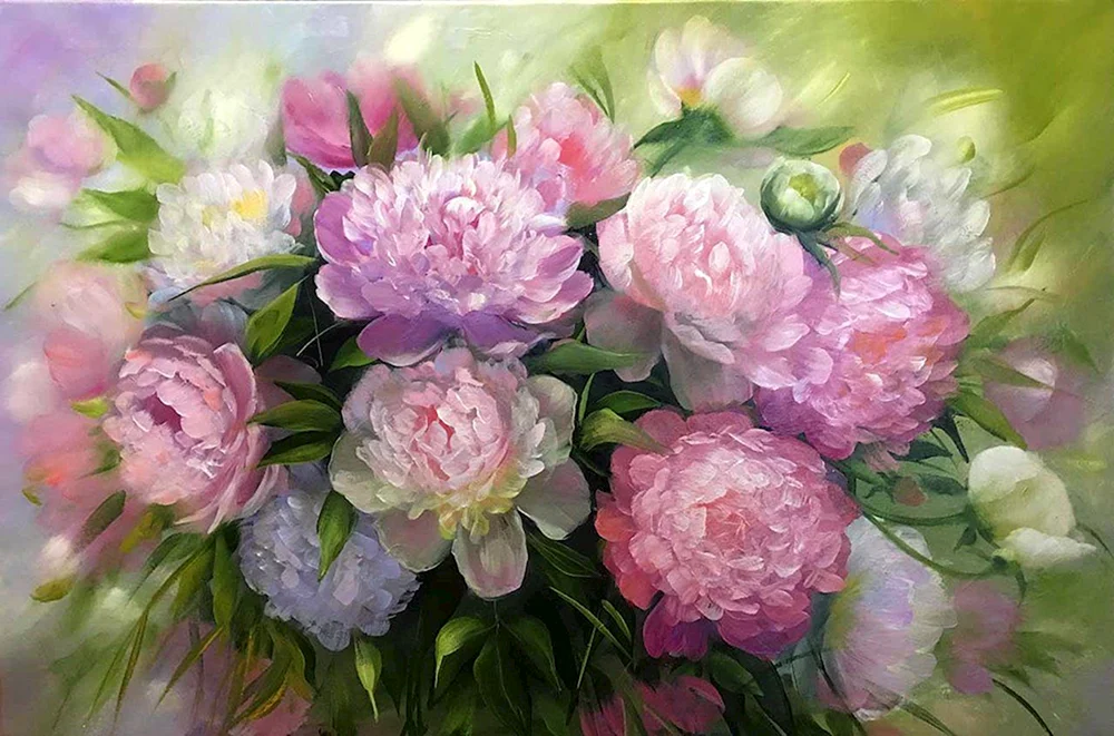 Katie g. Whipple Pfingstrosen