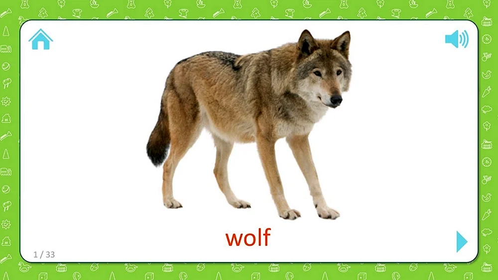 Doman's Cartoon Wolfskarten und Wolfsjunge