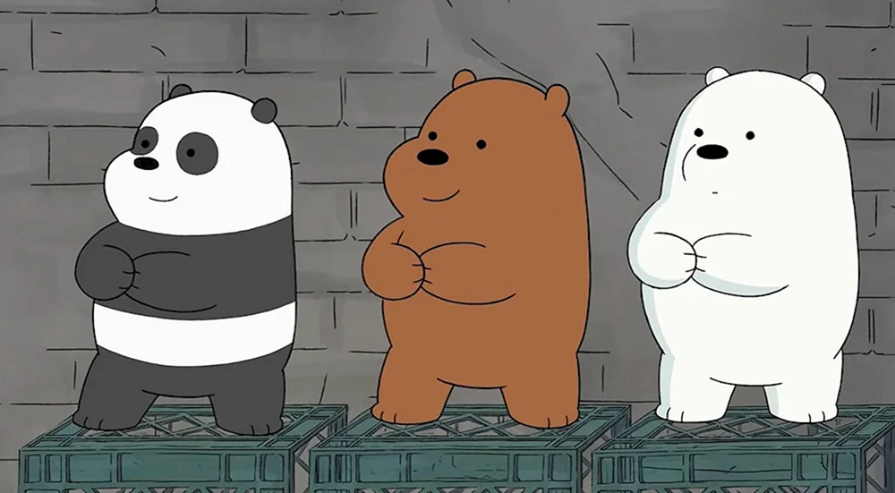 Cartoon network die ganze Wahrheit über Bären