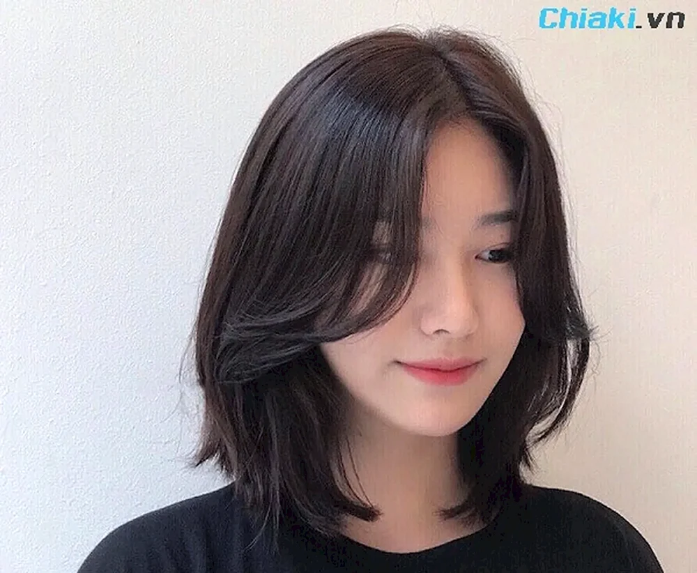 Koreanischer Cascade Pony