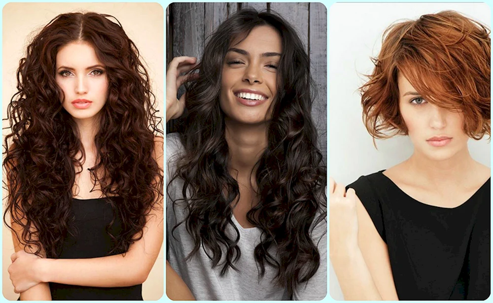 Lina Locken