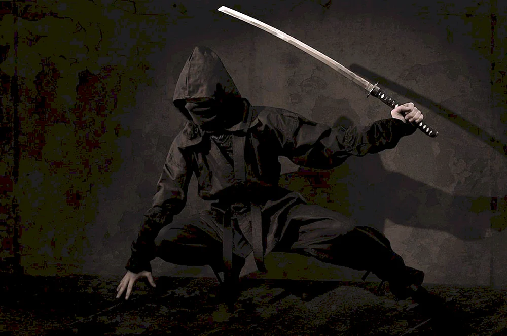 Katana Ninja Shinobi