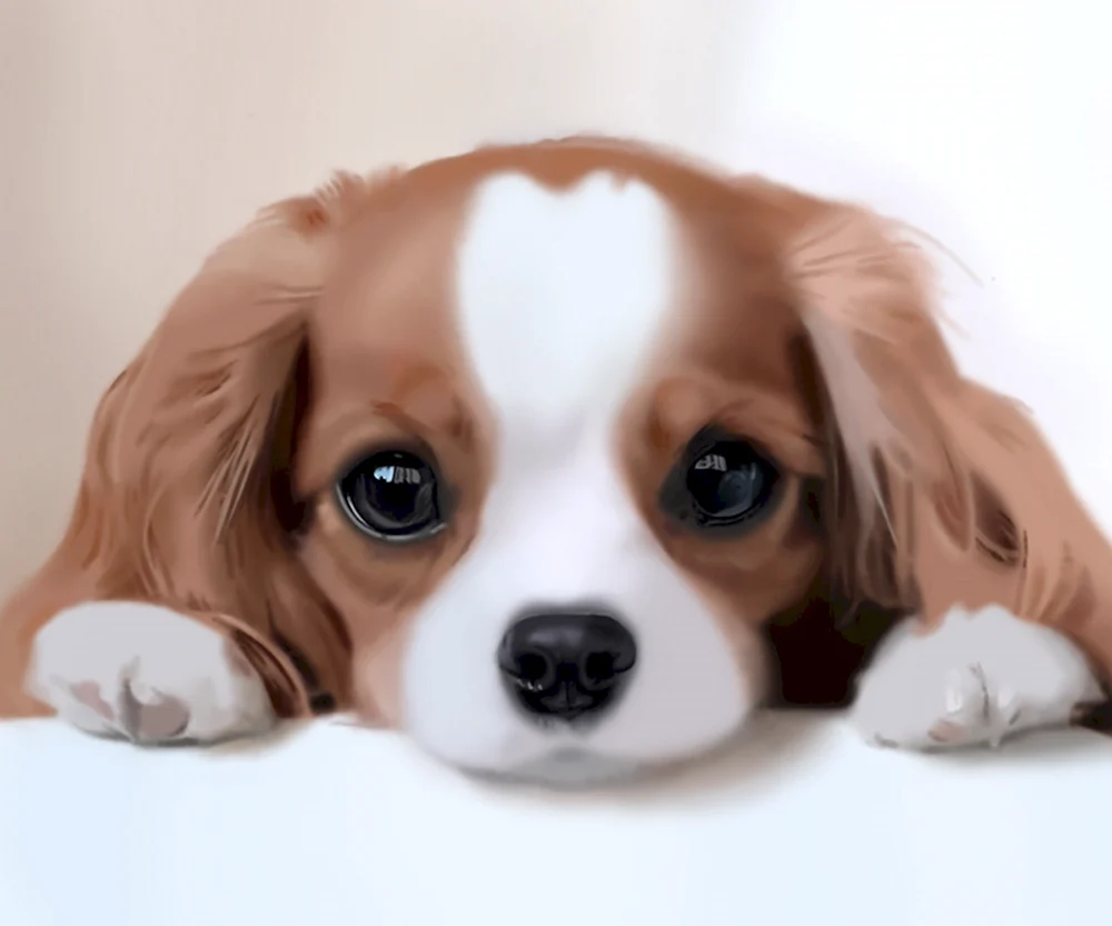 Süße Hunde