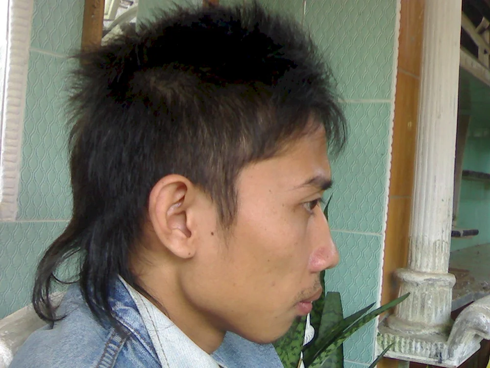 Wolf Mullet Haarschnitt