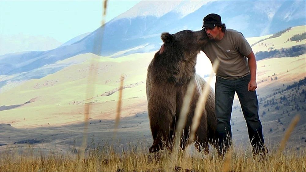 Casey Anderson und Grizzlybär brut