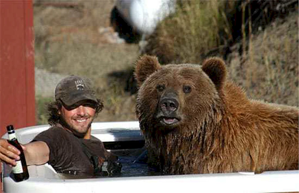 Casey Anderson und Grizzlybär brut