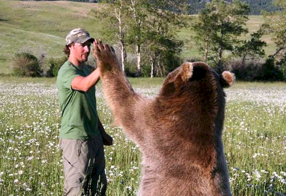 Casey Anderson und Grizzlybär brut