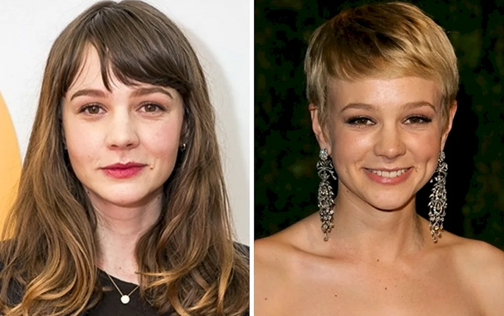 Pixie-Bob-Haarschnitt