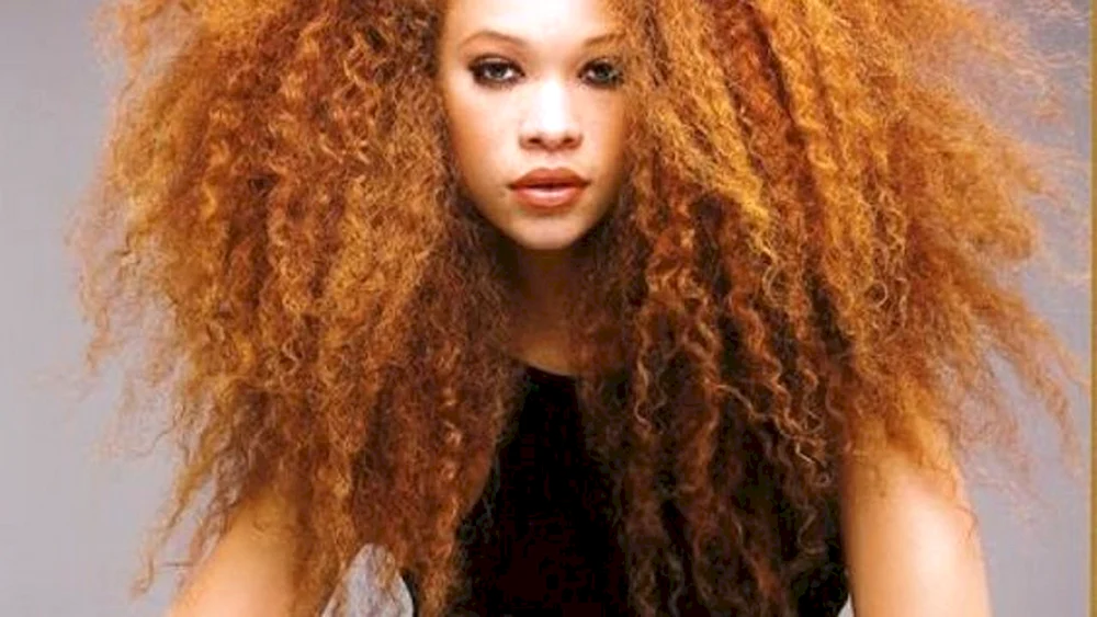 Curly Heir