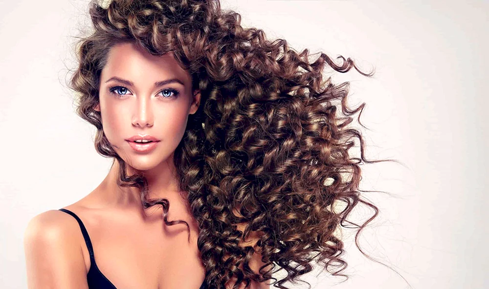 Afro Locken w6