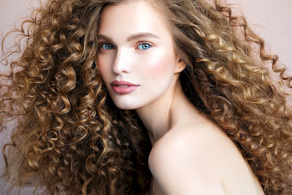 Lina Locken